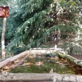 photo 2023-10-05 11-24-33