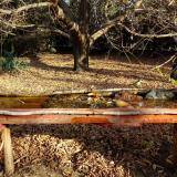 photo 2021-10-26 09-22-39