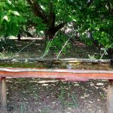 photo 2021-05-25 16-27-18