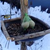 photo 2019-01-09 11-36-59