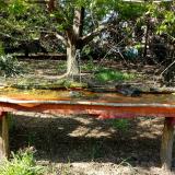 photo 2021-04-24 15-41-37