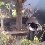 photo 2019-12-12 11-42-34