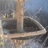 photo 2019-12-30 12-11-23