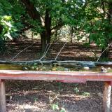 photo 2021-08-06 07-20-19