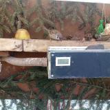 photo 2021-02-12 09-47-40