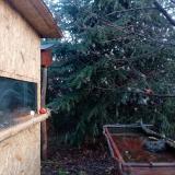 photo 2021-12-31 08-11-43