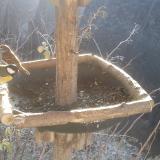 photo 2019-12-30 09-54-26