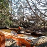 photo 2022-03-23 08-47-01