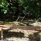 photo 2021-09-19 09-23-57