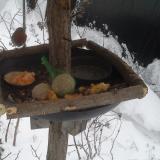 photo 2019-01-23 07-39-29