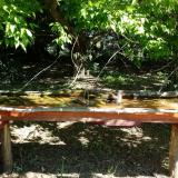 photo 2021-05-10 10-05-37