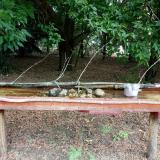 photo 2021-07-12 10-22-48