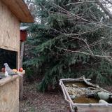 photo 2021-12-19 13-18-59