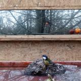 photo 2022-01-25 15-25-17