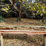 photo 2021-10-21 09-56-04