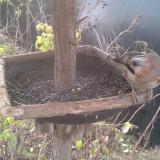 photo 2019-12-19 09-30-31