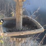 photo 2019-12-31 12-33-59