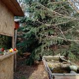 photo 2021-12-18 13-36-36