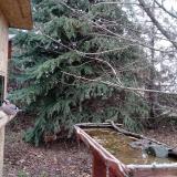 photo 2021-12-11 13-10-37