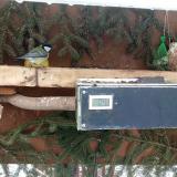 photo 2021-02-11 12-46-40