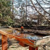 photo 2022-03-13 09-22-22