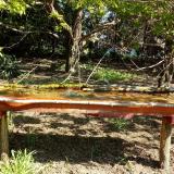 photo 2021-04-24 09-41-40