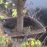 photo 2019-12-14 11-18-04