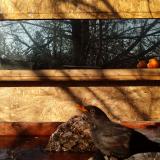 photo 2022-01-24 09-36-02