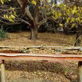 photo 2021-10-21 10-55-56