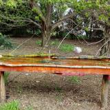 photo 2021-04-20 09-57-07