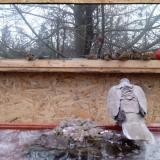 photo 2022-01-20 07-54-28