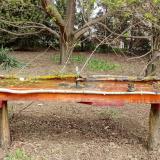 photo 2021-04-11 11-43-44