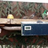 photo 2021-02-06 10-45-07