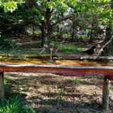 photo 2021-04-26 07-41-23