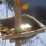 photo 2019-01-27 10-03-30