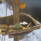 photo 2019-01-27 09-15-16