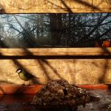 photo 2022-01-24 09-15-45