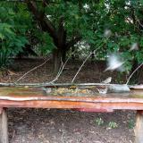 photo 2021-09-07 14-55-25