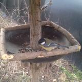 photo 2019-03-08 07-03-57