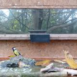 photo 2023-10-25 08-13-13