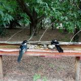 photo 2021-07-14 13-49-48