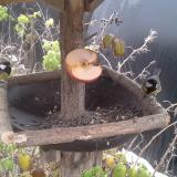 photo 2019-12-04 11-48-49