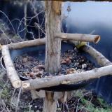 photo 2019-01-02 08-00-07