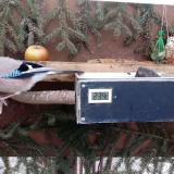 photo 2021-02-16 07-52-38