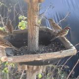 photo 2019-12-20 12-22-08