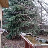 photo 2021-12-11 12-38-38