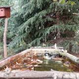 photo 2023-10-09 11-39-14