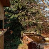 photo 2021-11-17 13-45-19