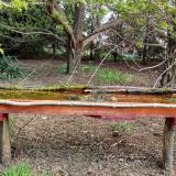 photo 2021-04-16 08-16-47