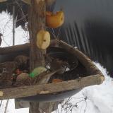 photo 2019-01-27 12-49-39